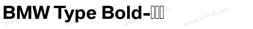 BMW Type Bold字体转换 BMW Type Bold字体转换
